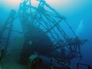 Underwater Ocean and seas picture from Dayo Scuba, Winter Park, Orlando, Florida